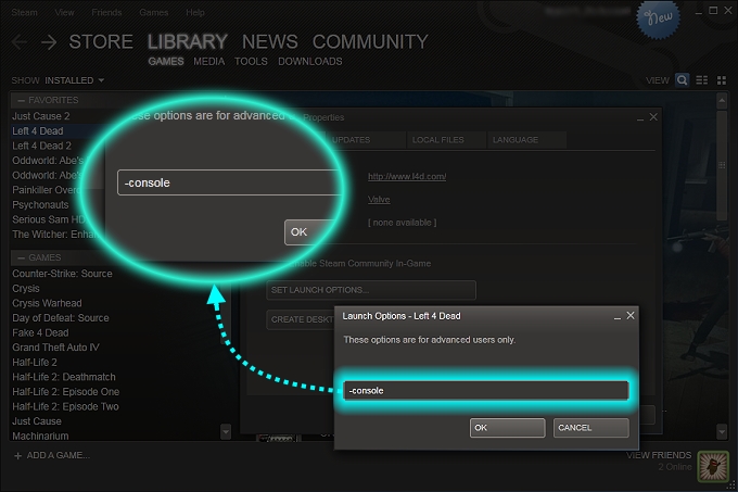 Steam Game Launch Options